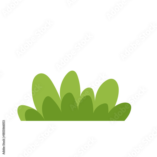 Green Bush Illustration