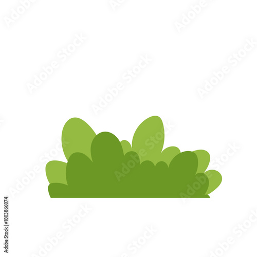 Green Bush Illustration