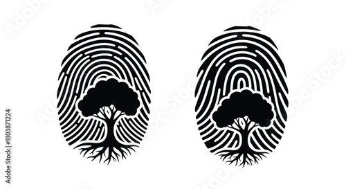 Unique identity trees growing from fingerprints reveal origin nature