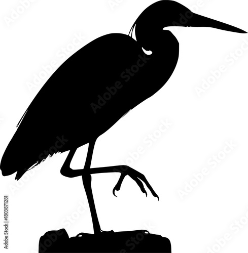 A silhouette of a bird standing on a rock