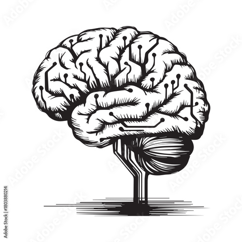 3d rendered illustration of brain