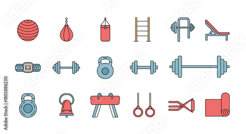 Colorful vector illustration of various gym equipment including weights, punching bags, a ladder, and gymnastics apparatus, perfect for fitness and health concepts.