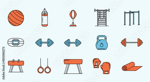 Colorful flat lay illustration of various gym and fitness equipment including weights, a punching bag, gymnastics apparatus, and a yoga mat.