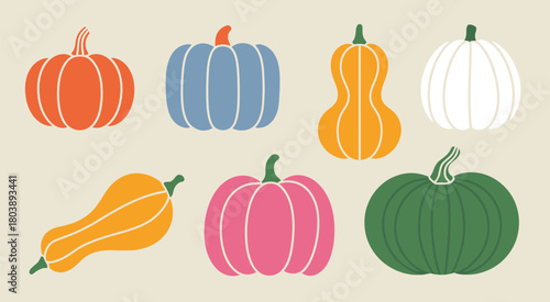 Autumn Pumpkins and Colorful Squashes – Seasonal Harvest Gourds with Botanical Details for Fall Decoration, Natural Produce Elements, and Beautifully Crafted Vector Illustration Collection