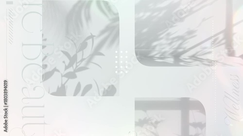 植物のシルエットの映像と美容イメージの言葉が並び、縦にパンするオシャレでリッチな背景/ホワイト