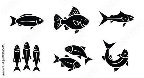 Diverse fish silhouettes swim together in a stylized animal collection