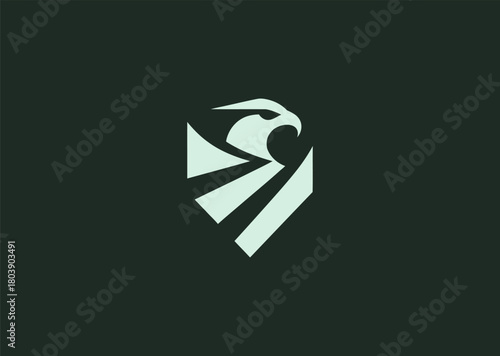 A dynamic geometric falcon logo constructed with clean intersecting lines and angular wing shapes, representing speed, precision, and sharp vision, designed as a sleek creative vector illustration