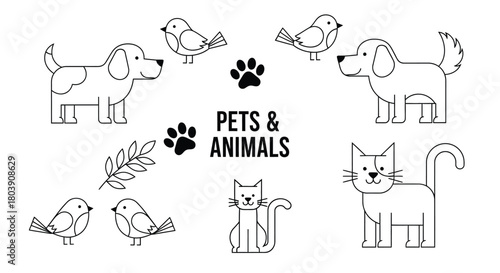 Adorable pets and animals illustration, perfect for kids projects today