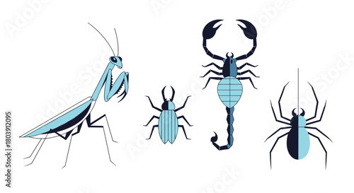 Diverse Collection of Arthropods Including a Praying Mantis Scorpion Spider and Other Small Insects