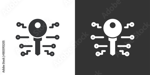 Digital Key icon. Solid glyph series icon