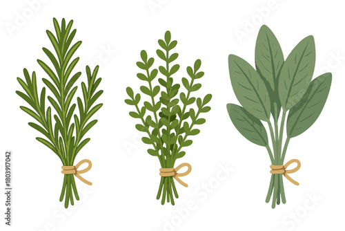 Fresh rosemary, thyme, and sage culinary herbs tied in three bunches with twine