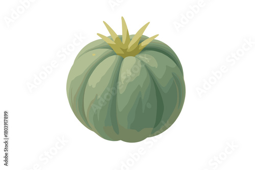 Stylized round succulent plant with ribbed texture and spiky yellow crown isolated on white