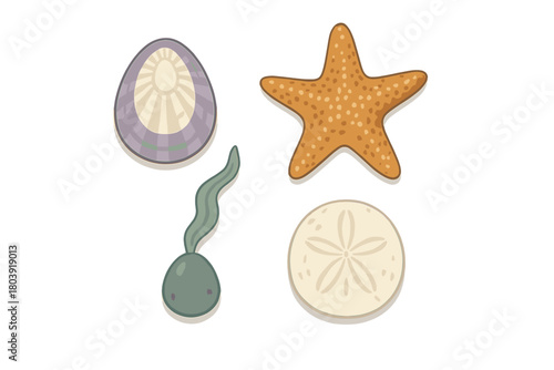 Grouping of various sea shells, starfish, and aquatic plant life elements