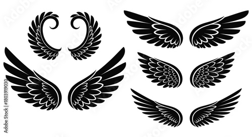 Collection of stylized black wings and decorative elements on a white background