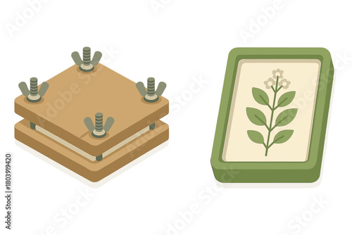 Traditional wooden flower press equipment alongside a preserved botanical specimen display
