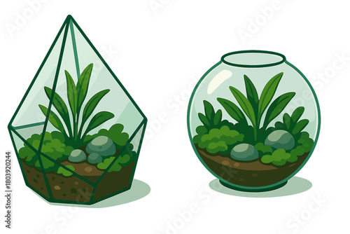 Miniature indoor terrariums with lush green plants, moss, soil, and decorative stones in glass containers