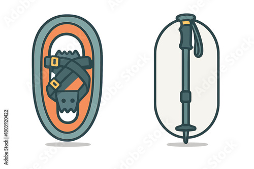 Set of modern snowshoe and adjustable trekking pole for winter hiking equipment