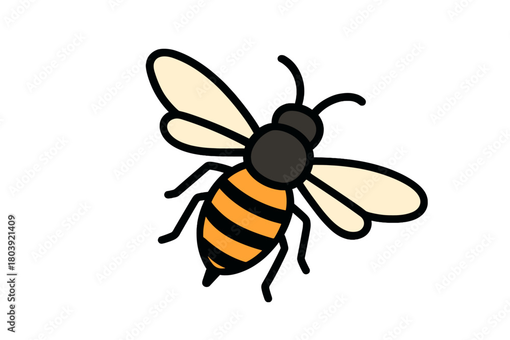 Fototapeta premium Cheerful cartoon honey bee flying with yellow and black stripes isolated on white