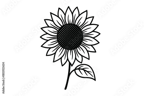 Black and white single sunflower in full bloom featuring a prominent stem and leaf
