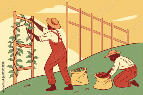 Two farmers working in a garden tending the bean plants