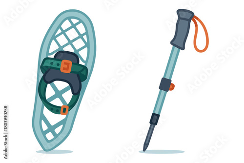 Snowshoe with bindings and adjustable trekking pole for winter outdoor sports