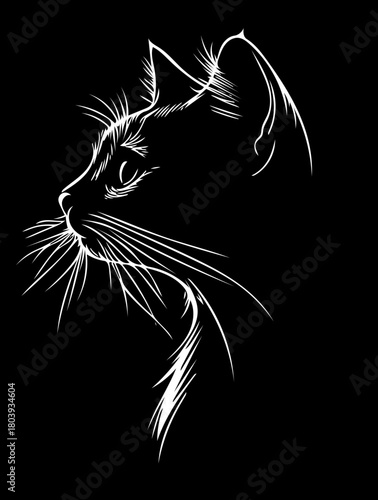 Abstract linear portrait of a female face in a moment of blissful serenity, using a high-contrast black and white engraving technique