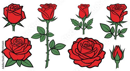 Vibrant red roses in various stages of bloom, symbolizing love and beauty