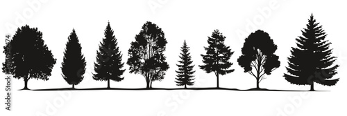 Silhouettes of diverse tree species including conifer and deciduous trees in black and white minimalist vector forest landscape design illustration