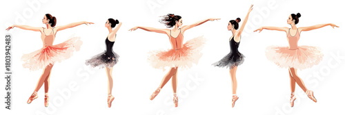 Elegant ballet dancers in classical tutus performing graceful dance poses with pointe shoes in minimalist vector style illustration