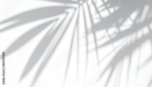 Blurred palm leaf shadow, delicate and airy