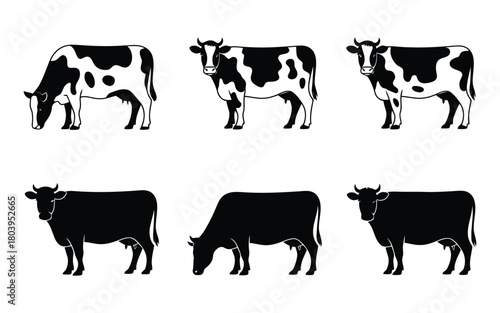 Cow Silhouettes and Illustrations Set - Farm Animals and Cattle Graphics Collection