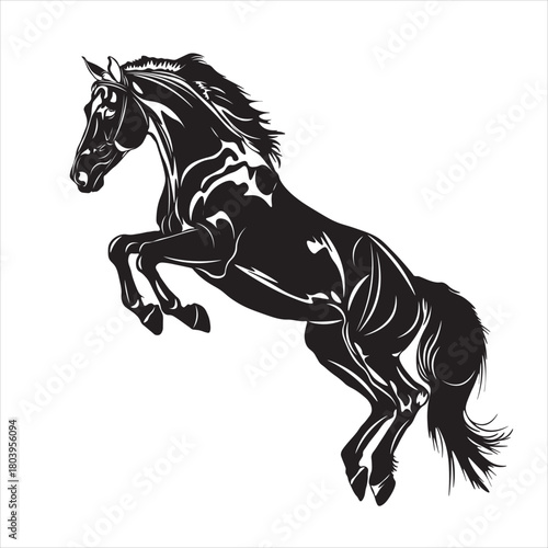 A horse is an animal