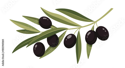 A beautifully illustrated olive branch adorned with ripe black olives and vibrant green leaves, symbolizing peace and nature.