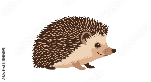A friendly cartoon hedgehog with a cute smile and brown quills, standing on a white background, ideal for various design projects.