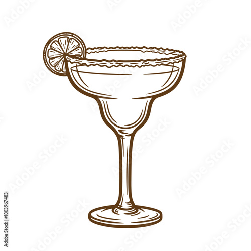 A detailed sketch vintage illustration of a classic margarita cocktail with lime garnish