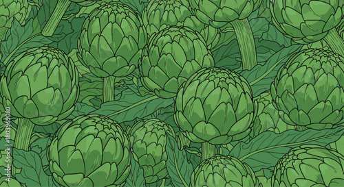 Artichoke field with many green artichokes in a close up.