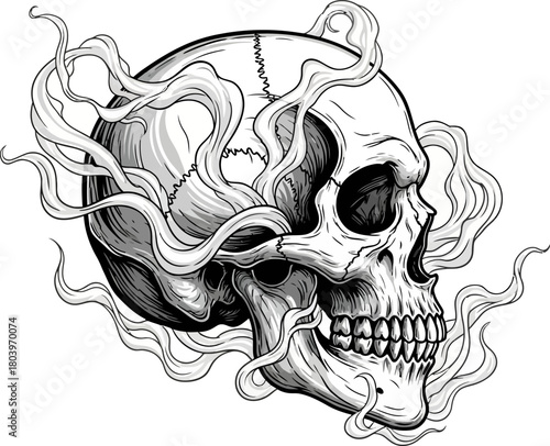 Adobe Illustrator Artwork