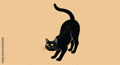Black cat stretching focused on its body looking forward.