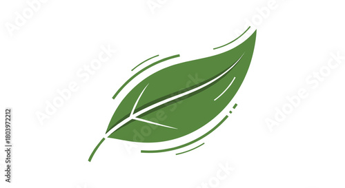 Green leaf illustration on a white background nature concept.