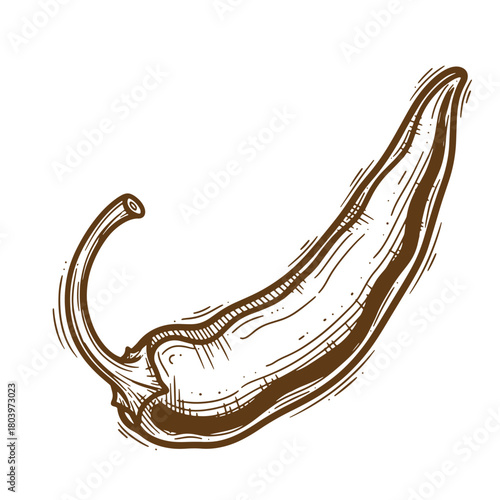 Detailed hand drawn sketch of a single chili pepper in a brown vintage style