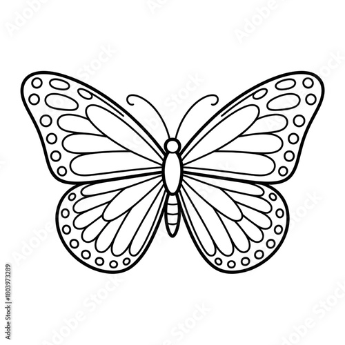 butterfly vector illustration coloring page 