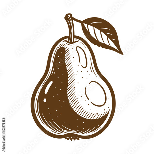 Detailed brown sketch of a ripe pear with leaf in vintage style art