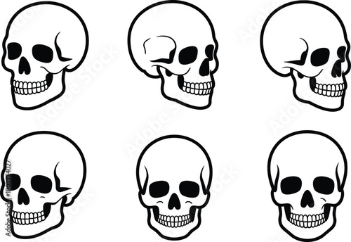 Human skull vector illustration set, anatomical skull drawings, skeleton head icons, medical bone structure graphics for education and anatomy projects.