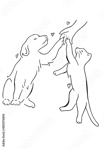 Joyful dog and cat high five with human hand, celebrating friendship and connection with playful hearts floating around