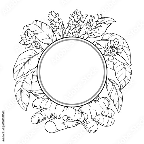 Turmeric Plant with Flowers and Leaves Outline Round Frame. Organic natural nutritional healthy food ingredient, vegetarian diet product. Vector isolated for design or decoration.