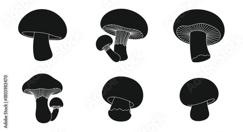 Detailed black silhouette illustrations of various mushroom types showcase their unique cap and stem structures, offering a natural and organic aesthetic.