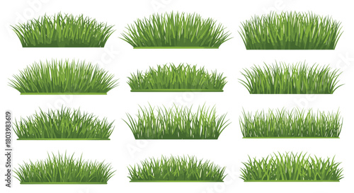 A collection of vibrant green grass patches in varying densities and lengths, presented as isolated vector illustrations for landscaping and design projects.