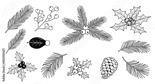 Detailed botanical illustration of winter foliage including evergreen branches, holly, berries, pinecone, and decorative ornament.