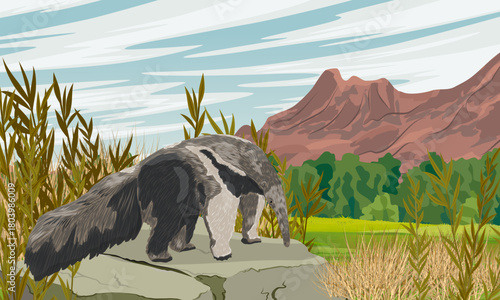 A giant anteater stands on a rock in a mountain valley at the foot of a high mountain range. Realistic vector landscape.