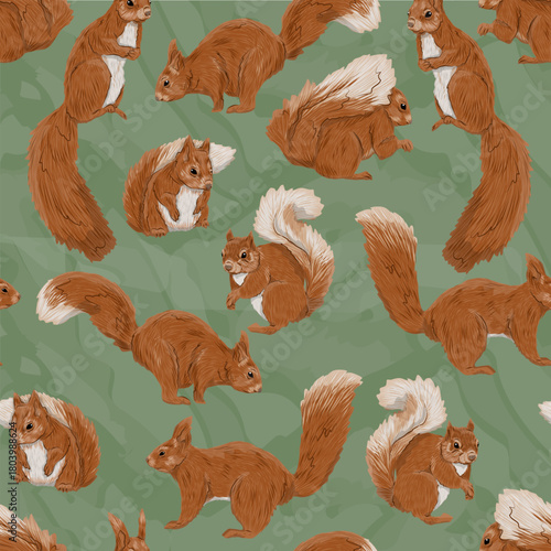 Seamless pattern with common squirrels Sciurus vulgaris. A Eurasian red squirrel. A realistic vector animal 